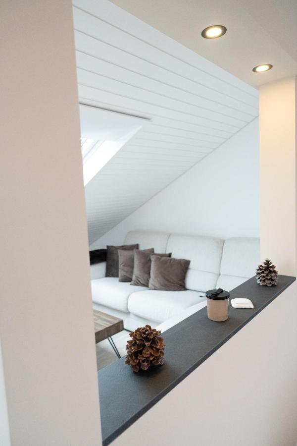 Fewo Lake Of Constance Friedrichshafen Bagian luar foto